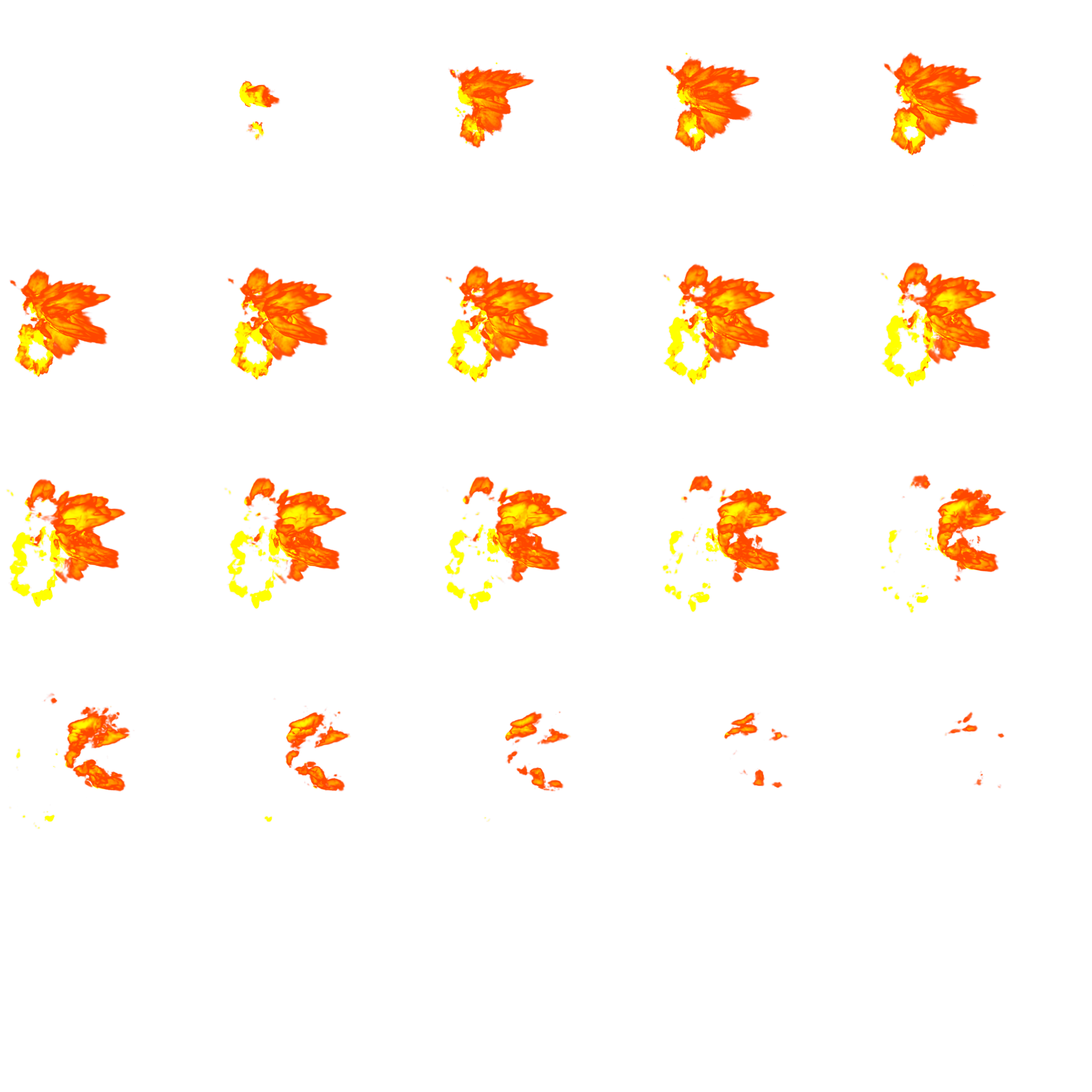 Main Preview