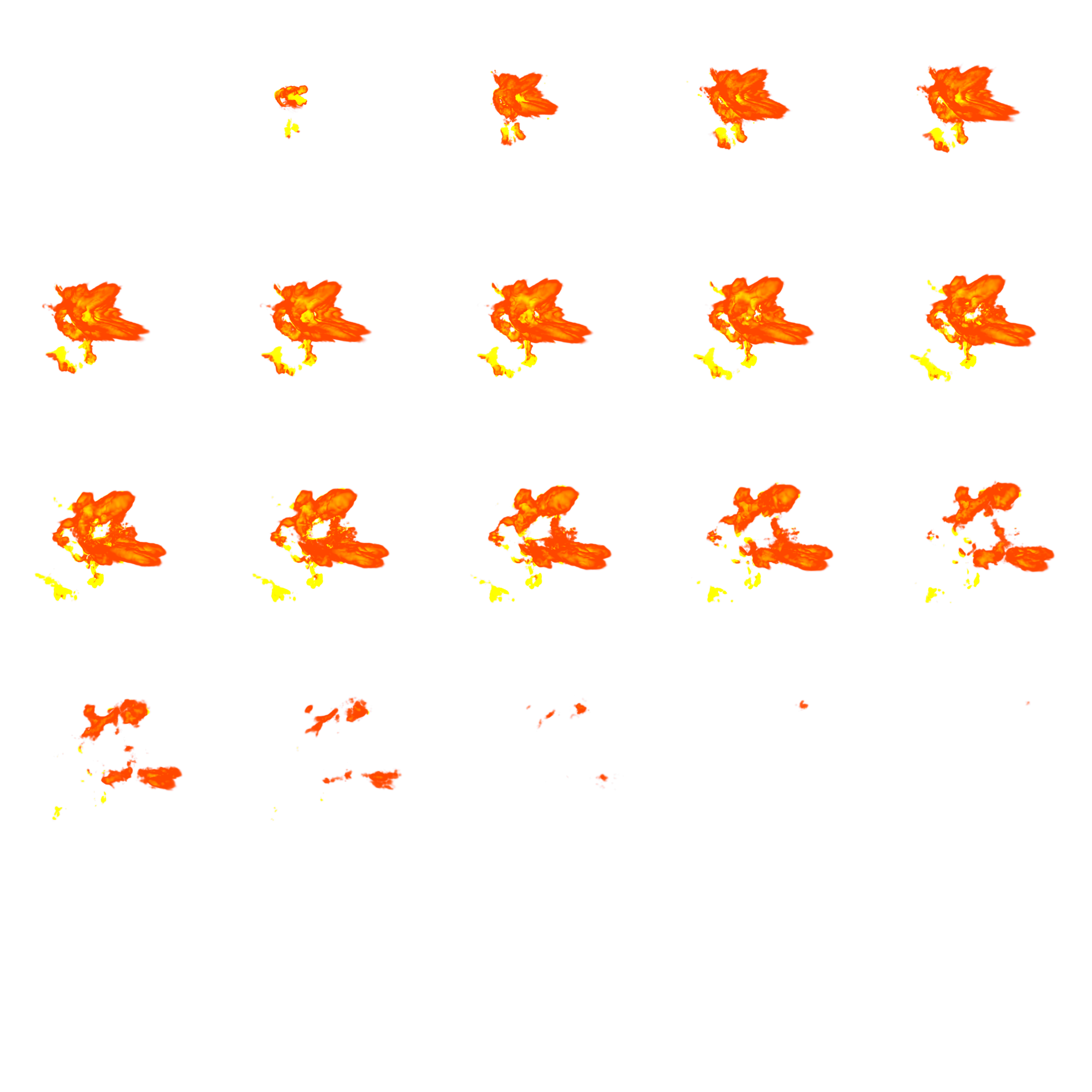 Main Preview