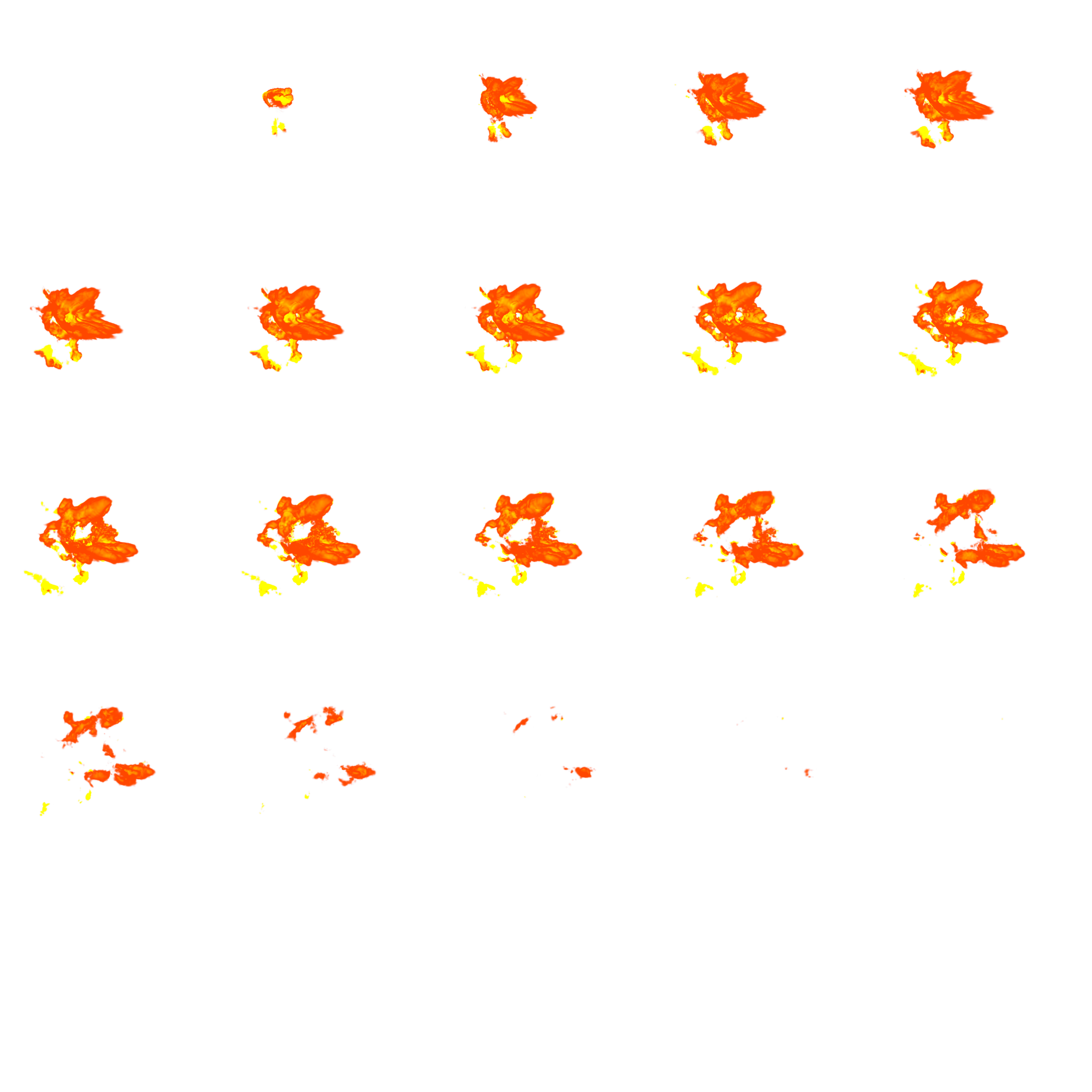 Main Preview